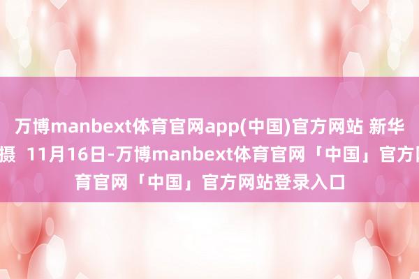 万博manbext体育官网app(中国)官方网站 新华社记者 陈君 摄  11月16日-万博manbext体育官网「中国」官方网站登录入口