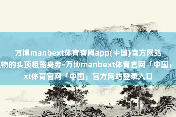 万博manbext体育官网app(中国)官方网站画面里各色东谈主物的头顶粗略身旁-万博manbext体育官网「中国」官方网站登录入口