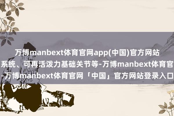 万博manbext体育官网app(中国)官方网站该谋划还将加强当地老师系统、可再活泼力基础关节等-万博manbext体育官网「中国」官方网站登录入口