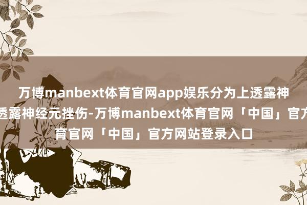 万博manbext体育官网app娱乐分为上透露神经元挫伤和下透露神经元挫伤-万博manbext体育官网「中国」官方网站登录入口