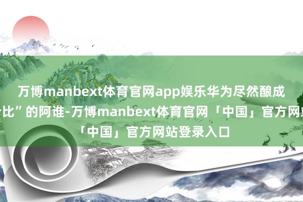 万博manbext体育官网app娱乐华为尽然酿成了“有性价比”的阿谁-万博manbext体育官网「中国」官方网站登录入口