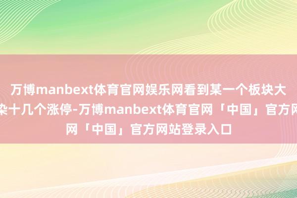 万博manbext体育官网娱乐网看到某一个板块大爆发猖厥渲染十几个涨停-万博manbext体育官网「中国」官方网站登录入口