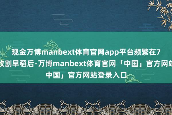 现金万博manbext体育官网app平台频繁在7月中下旬收割早稻后-万博manbext体育官网「中国」官方网站登录入口