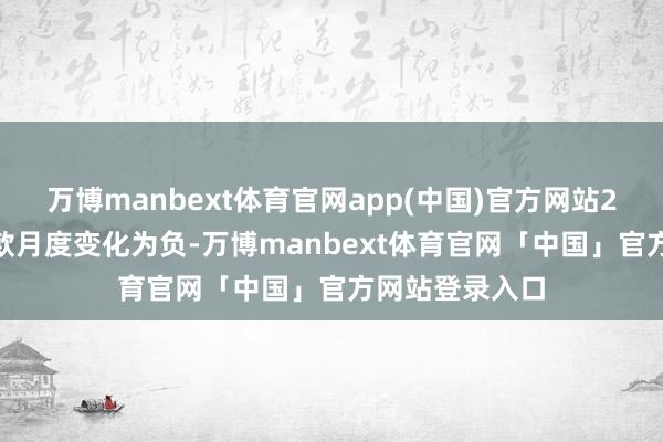 万博manbext体育官网app(中国)官方网站2025年家庭入款月度变化为负-万博manbext体育官网「中国」官方网站登录入口