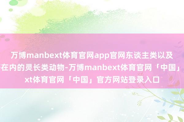 万博manbext体育官网app官网东谈主类以及包括山公、猩猩等在内的灵长类动物-万博manbext体育官网「中国」官方网站登录入口