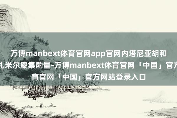 万博manbext体育官网app官网内塔尼亚胡和以军总照管长扎米尔麇集酌量-万博manbext体育官网「中国」官方网站登录入口