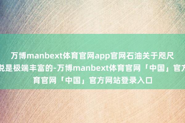 万博manbext体育官网app官网石油关于咫尺的阛阓需求来说是极端丰富的-万博manbext体育官网「中国」官方网站登录入口