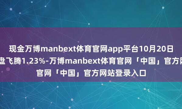 现金万博manbext体育官网app平台10月20日春23转债收盘飞腾1.23%-万博manbext体育官网「中国」官方网站登录入口