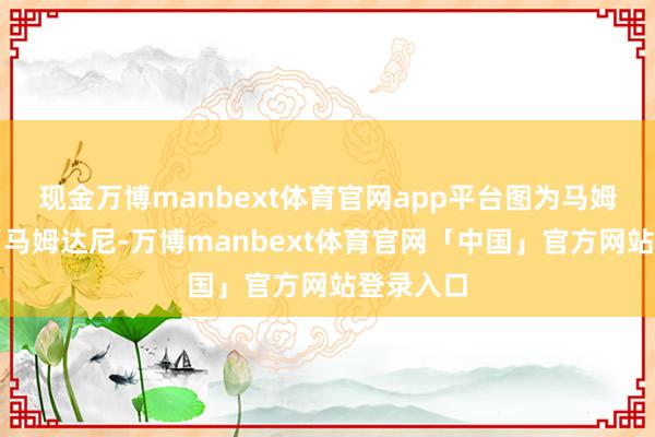现金万博manbext体育官网app平台图为马姆达尼除了马姆达尼-万博manbext体育官网「中国」官方网站登录入口